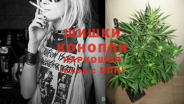 бошки Белокуриха
