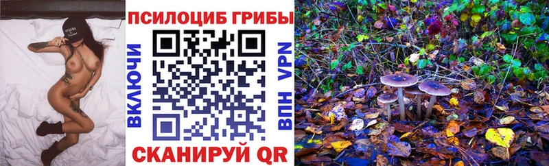кракен ТОР  Буйнакск  Галлюциногенные грибы GOLDEN TEACHER  магазин продажи наркотиков 